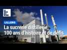 La sucrerie distillerie de Lillers a 100 ans en 2024