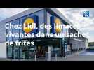 Chez Lidl, des limaces vivantes dans un sachet de frites