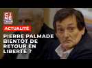 Pierre Palmade bientôt de retour à la liberté ? - Ciné-Télé-Revue