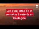 VDÉO. Ragondins, Top Chef, pollution... Les cinq infos à retenir en Bretagne cette semaine