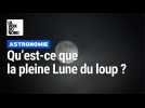 Qu'est-ce que la pleine Lune du loup, qu'on pourra observer ce soir ?