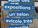 Halle des expositions à Évreux : un salon avicole très surveillé