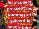 Miannay, les écoliers pressent les pommes et ravivent le savoir-faire local