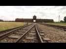 Auschwitz, la machine de mort nazie