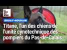 Titane, l'un des chiens de l'unité cynotechnique des pompiers du Pas-de-Calais