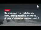 VIDEO. Dépression Ivo : rafales de vent, précipitations intenses... À quoi s'attendre ce mercredi ?