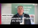 Betteraves : la réintroduction de l'acétamipride votée au Sénat