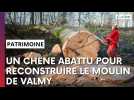 Découvrez l'arbre qui servira à reconstruire le moulin de Valmy