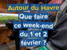 Festival de musique, de jeux de société et concerts... Que faire ce week-end du 1 et 2 février au Havre ?