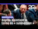 Immigration : François Bayrou persiste avec son idée d'une « submersion » migratoire