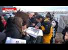 VIDEO. Charlie Dalin, grand vainqueur du dernier Vendée Globe, acclamé par la foule à Concarneau