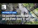 Où postuler pour des jobs d'été dans les secteurs de Béthune et Lens