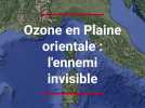 Ozone en Plaine orientale : l'ennemi invisible qui menace air et végétation