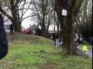 Perchés dans les arbres contre le canal, les 