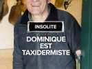 Dominique est taxidermiste depuis 40 ans