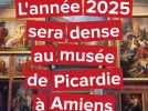 Amiens : le musée de Picardie donne rendez-vous pour trois expositions passionnantes en 2025