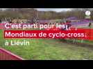 VIDÉO. Mondiaux de cyclo-cross : les impressions des Bleus sur le tracé après le relais mixte