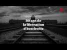 80 ans de la libération d'Auschwitz