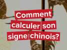 Nouvel an chinois ou Fête du printemps: comment connaître votre signe chinois?