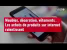 VIDÉO. Meubles, décoration, vêtements... Les achats de produits sur internet ralentissent