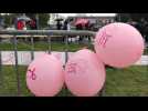 3200 participants à la balade Marais rose contre le cancer du sein