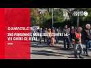 VIDEO. 250 personnes mobilisée pour le pouvoir d'achat, à Quimperlé, ce jeudi