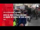 VIDEO. Royal de Luxe présente El Xolo et Bull machin à Villeurbanne