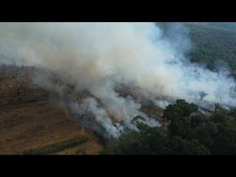 Wildfires race through Brazil's Amazonas state