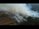 Les pompiers luttent contre les incendies dans l'État brésilien de l'Amazonas