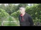David Lacroix, unique vigneron à Waremme