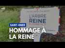 Hommage à la reine à Saint-Omer