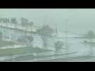 Typhoon Noru makes landfall in Vietnam