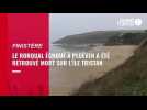 VIDEO. Le rorqual échoué à Ploéven a été retrouvé mort sur l'île Tristan