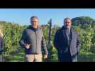 Quiéry-la-Motte : 3,8 hectares de vignes vendangés pour la premiere fois