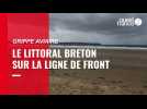 Le littoral breton face à la grippe aviaire : à Plonévez-Porzay (Finistère), 
