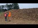 Des centaines de tonnes en silo