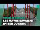 Les ruines Mayas abritent un métal hautement toxique et ça n'a rien d'un hasard