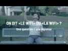 Internet: on dit «le wi-fi» ou «la wi-fi»?