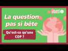 Qu'est-ce qu'une COP ?