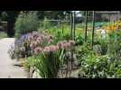 Echappées belles - Le charme des jardins anglais
