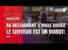 VIDÉO. Dans ce restaurant près de Rennes, le serveur est un robot