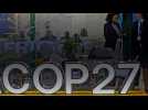 La COP27 s'ouvre en Egypte sur fond de crise énergétique