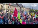 VIDÉO. 300 manifestants à Liffré contre l'usine Bridor
