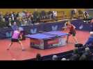 Tennis de Table : LMSTT - Quimper Cornouaille (Pro B Dames - 2ème journée du championnat)