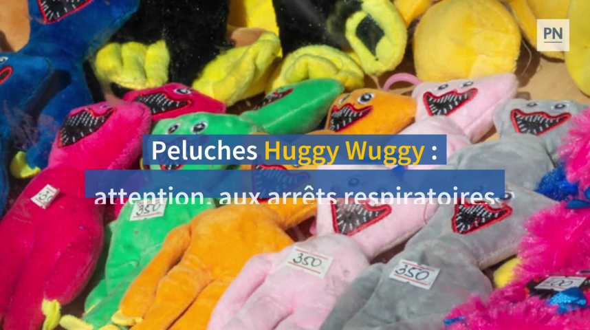 Peluches Huggy Wuggy : attention, elles peuvent entraîner des arrêts  respiratoires - Paris-Normandie