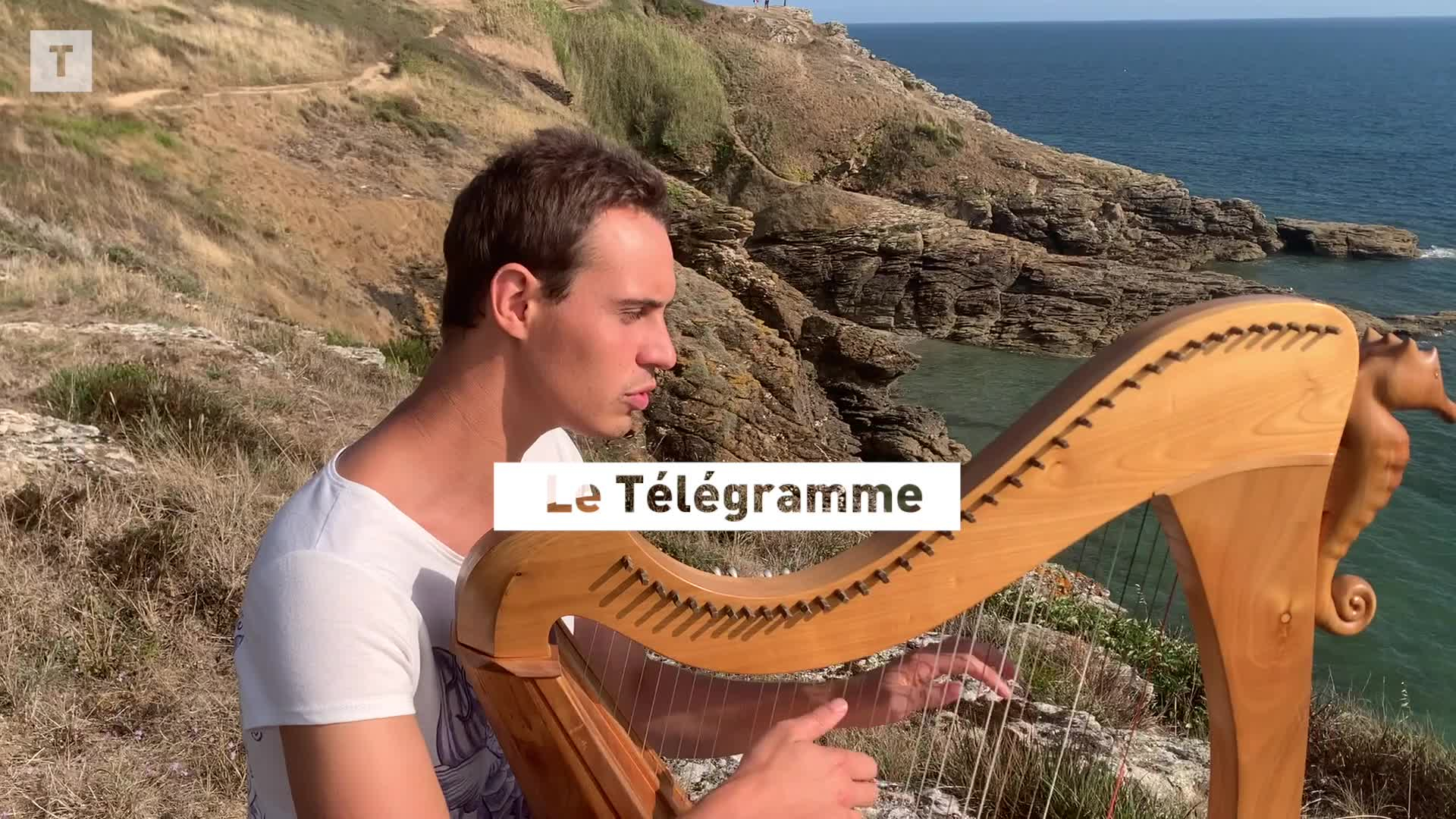 Pierre Bertrand, passions harpe et botanique (Le Télégramme)
