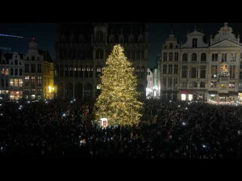 Xmas tree illuminated in Brussels for seasonal festivities