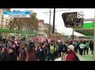 Marche contre les violences sexuelles et sexistes : 1 700 manifestantes à Nantes