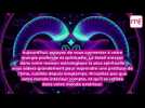 Horoscope du jour du mardi 22 novembre 2022