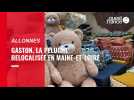 VIDEO. Cette entreprise de la région parisienne relocalise ses peluches en Maine-et-Loire
